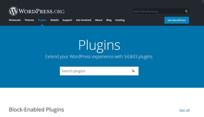 wordpress vs squarespace plugins